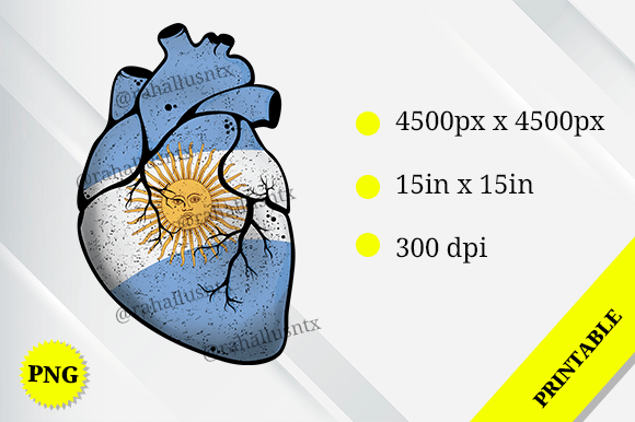 Argentina Heart Flag Embroidery Design